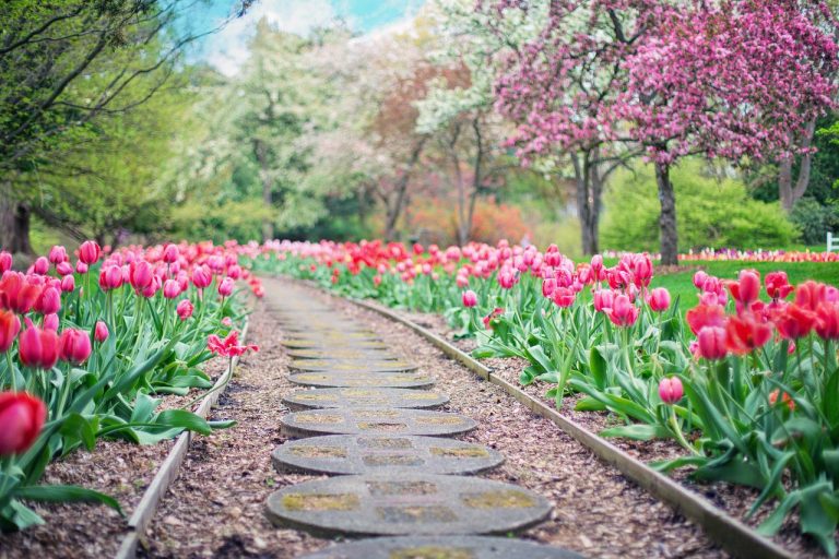 How to make a garden border with wood