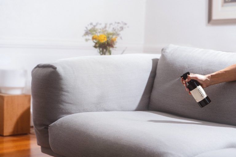 How to Get Rid of Fleas in the House Fast and Forever in the UK