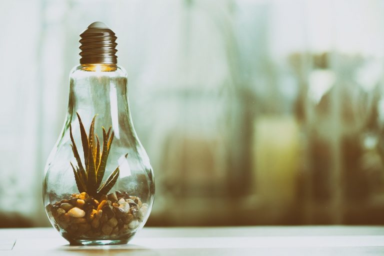 How to get your house rewired for free in the UK