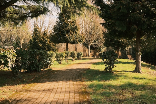 paving path